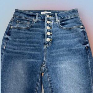 LOFT Women’s 0/25 BUTTON FLY CURVY SKINNY Blue Jeans